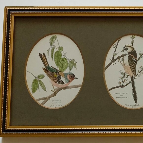 VTG John Morland Birds Hand Colored Glastonbury Print Framed Made in England - Picture 8 of 9